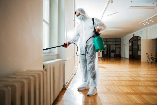 Best Fumigation Services  in Craig, AK